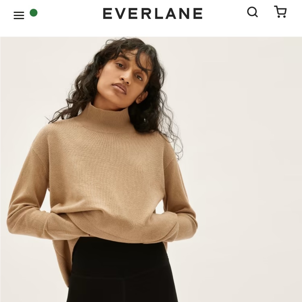 Everlane The Cashmere Square Turtleneck in Camel in Medium